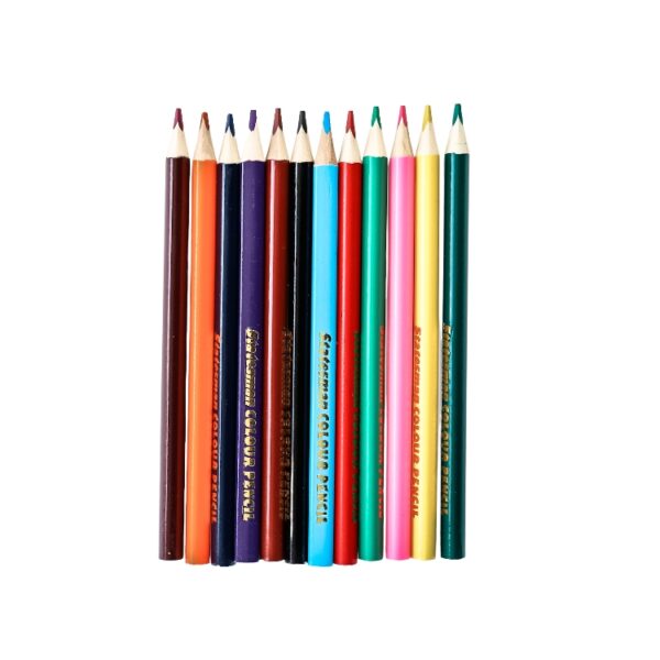 Statesman Jumbo Colour Pencils 12's - Ideal For Back To School - Image 2