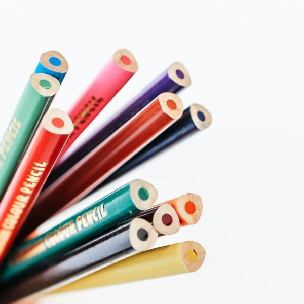 Statesman Jumbo Colour Pencils 12's - Ideal For Back To School - Image 3